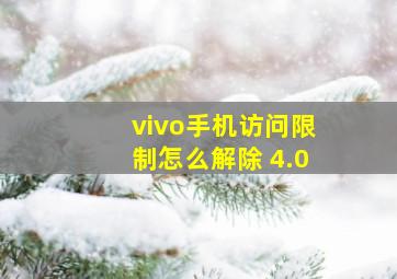 vivo手机访问限制怎么解除 4.0